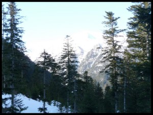 P1020321